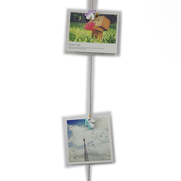 Picture Hanging Wire with Novelty Magnets