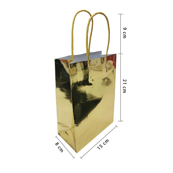 Metallic Glossy Gift Bag